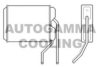 AUTOGAMMA 102580 Heat Exchanger, interior heating